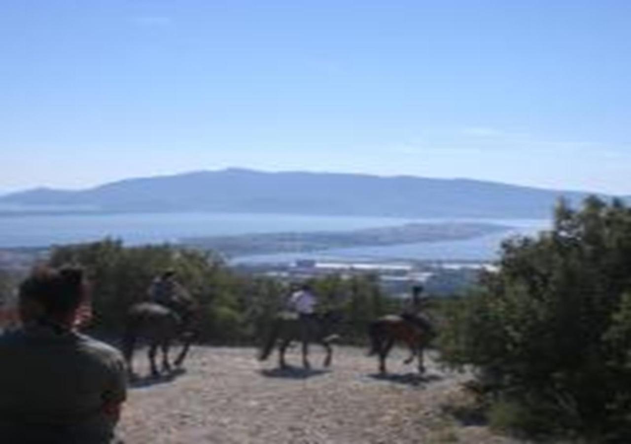 Vila App - Il Fenicottero Con Parcheggio Gratuito Ad Orbetello Exteriér fotografie